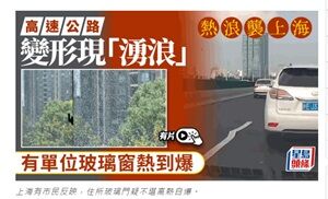 2024年7月9日変形