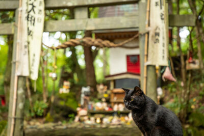 母と伯母の、ゴミ屋敷