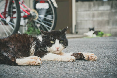 ゴミ屋敷の実家、お悩み