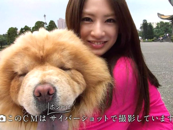 北川景子とわんこ