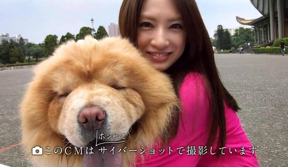 超絶美女の画像005