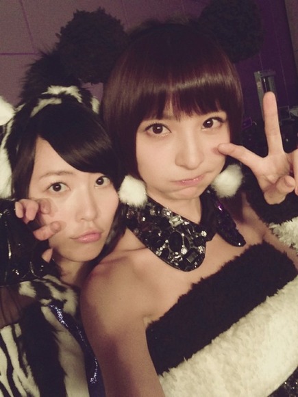 AKB48の動物コス写メ008