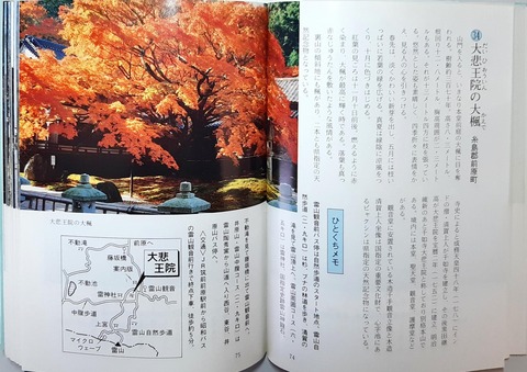 2024_11_24 14_34 Office Lens