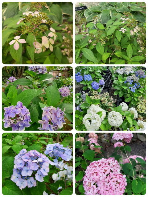 23-06-24-23-17-48-654_decor