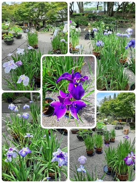 23-06-25-06-32-42-989_decoR