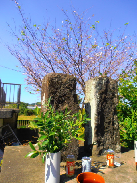 PA062773 - コピー