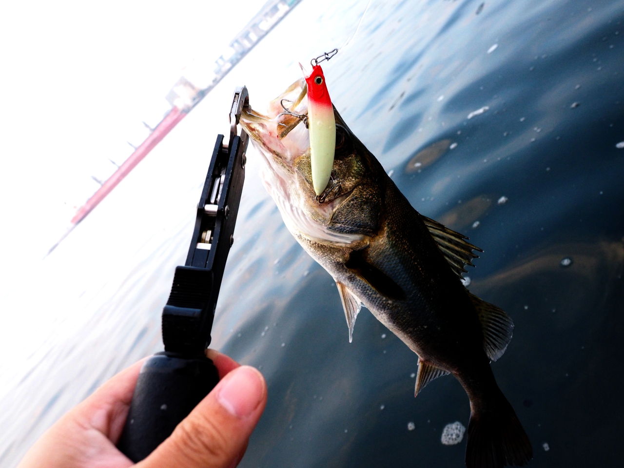 ２０１５年 １０月 名古屋港ボートシーバス Orca Official Blog