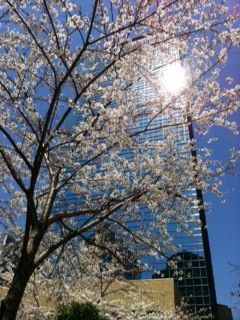 写真(2)
