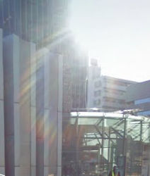 20101216