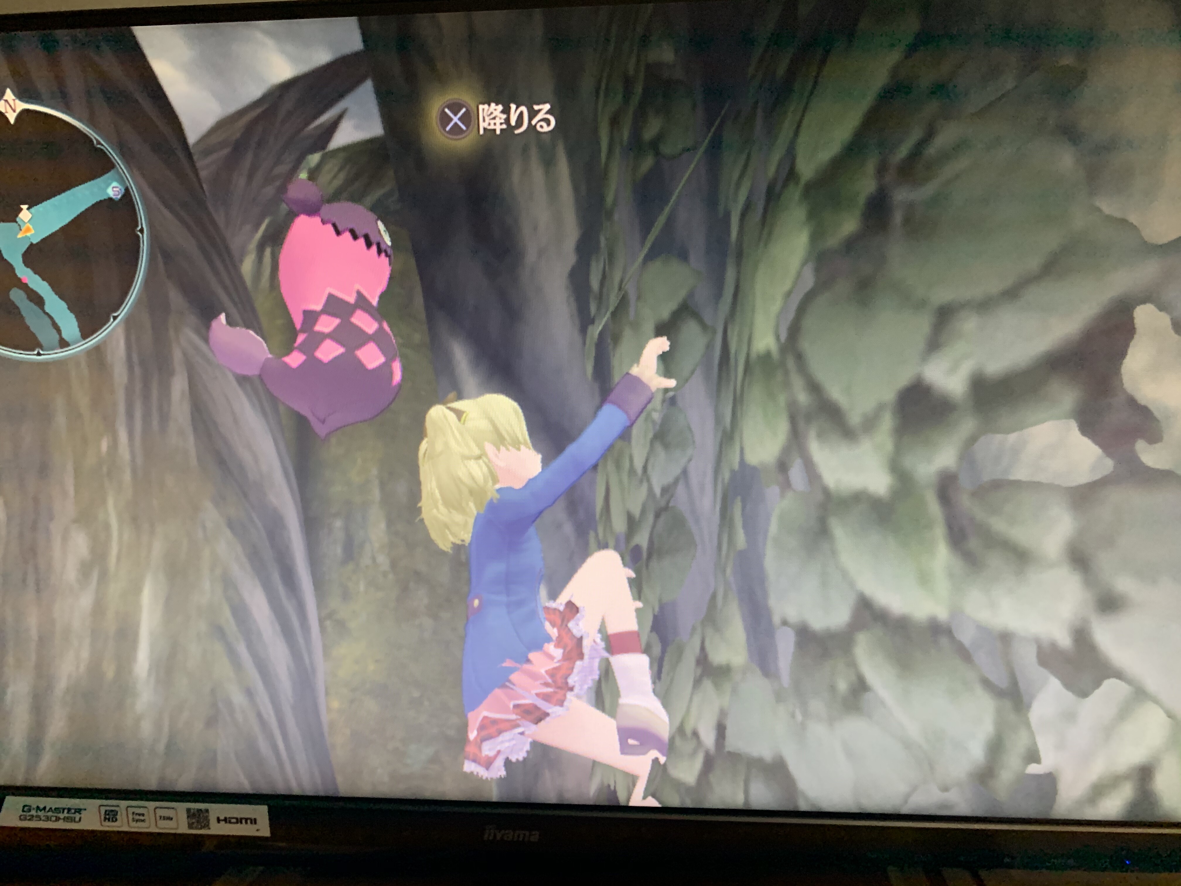 ツタでエリーゼたんのスカートを覗こうとしてみた エクシリア2 ソフトなリョナとゲーム好きブログ ツタでエリーゼたんのスカートを覗こうとしてみた エクシリア2 ソフトなリョナとゲーム好きブログ