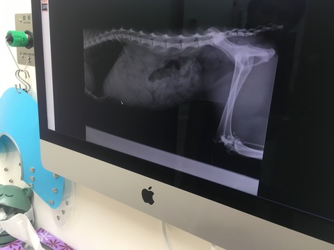 FD09FB18-8170-4DC0-9A2F-DD9C9770639F