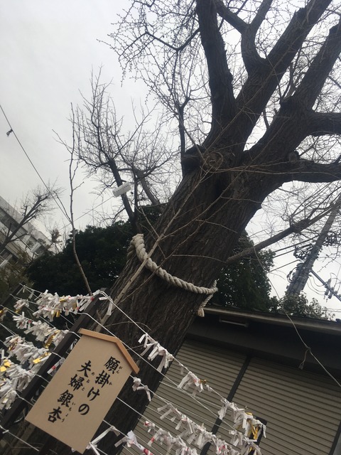 3F3B9071-EF6C-49E3-BDC1-8B2C2C77C063