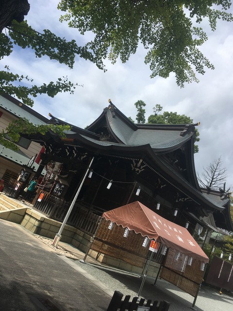 C540800E-2FB0-4455-8F10-B5B472591BEA