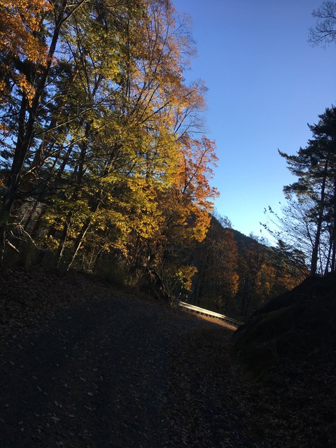 7C7D5A24-BDBF-4701-ADA4-999BE6F9F067