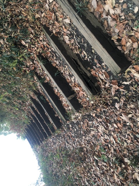 3997CBCA-8834-495A-BD3C-0120877D405A