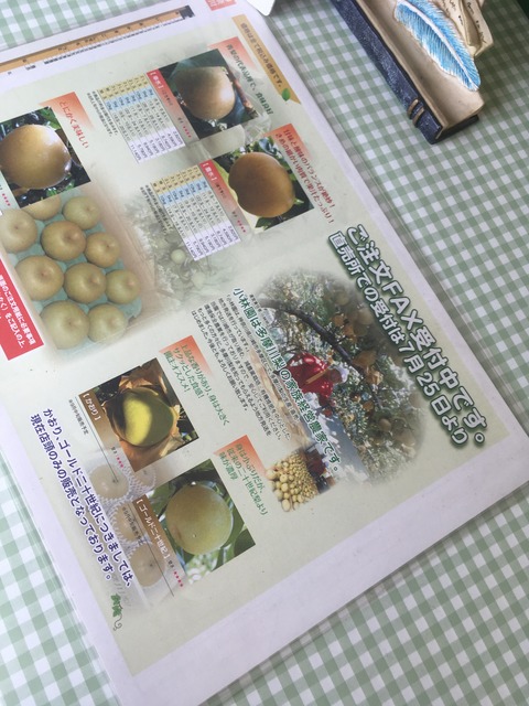 B6E69A2B-17D8-407B-B21F-71F9063E4793