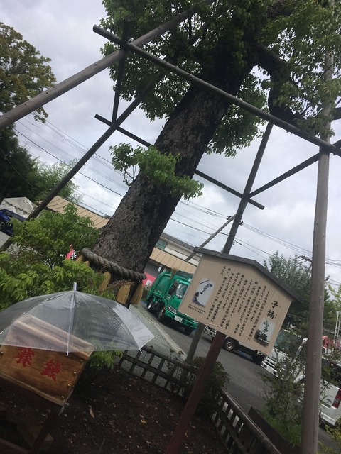 0B587E4C-1EAE-4062-BCC2-D0BB48C8E850