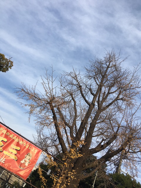 B0A59AA3-DD98-4180-91E1-FF5FB3738214