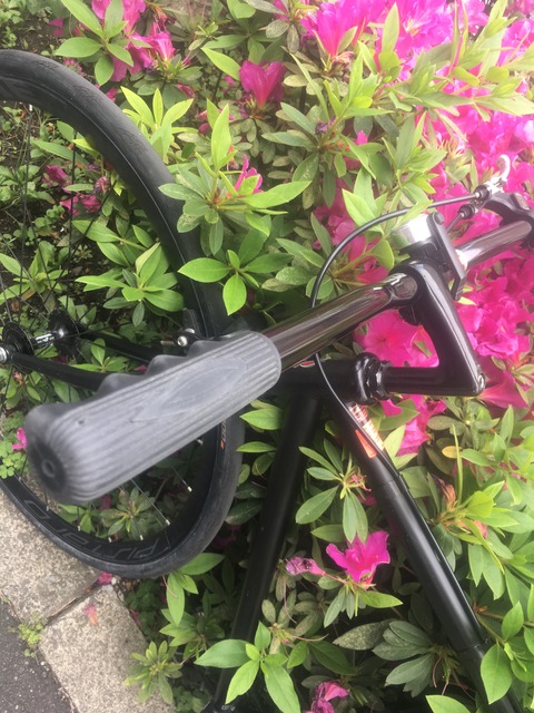 328601D5-B3AC-4F74-892F-8A6481D64AEC