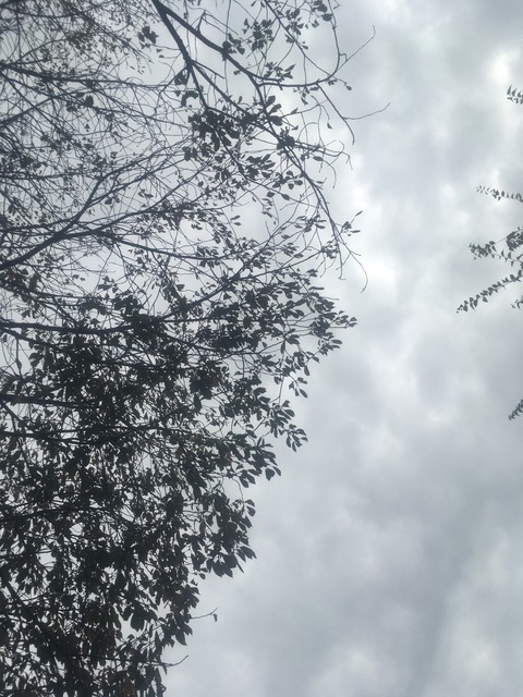 D38599AE-1655-478A-AEC5-17F33455E441