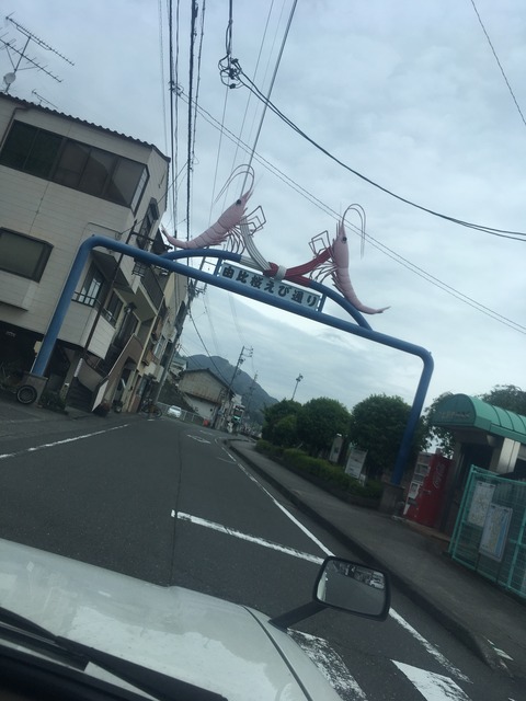 D97A73C5-6B57-45DF-B3BA-E3126520F00F