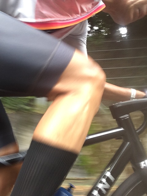 43422F44-C607-4AC4-A1B0-EFB8BE4A5E4D