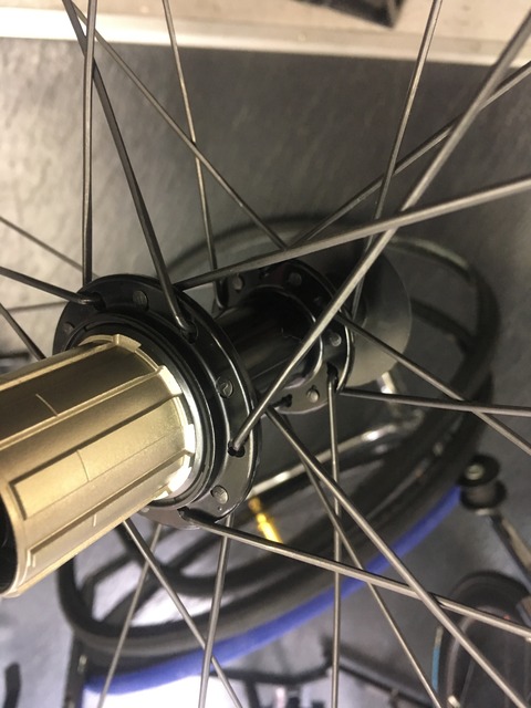 6182BC1A-B9BB-4D14-8DEF-6B905A62E386