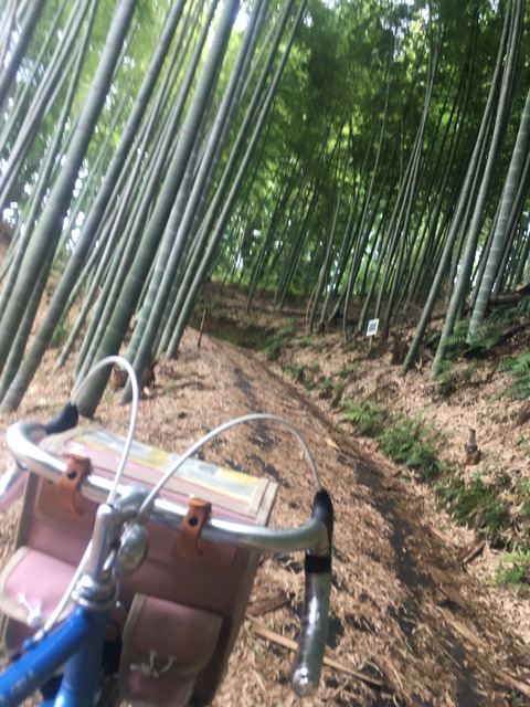 99A9719F-394F-4C2D-A7C0-39036DAA82D3