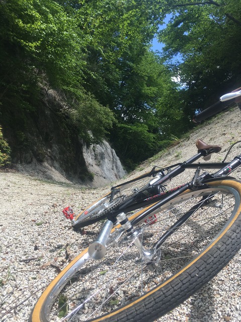 737022B7-3963-4796-AB86-872DA9495A21