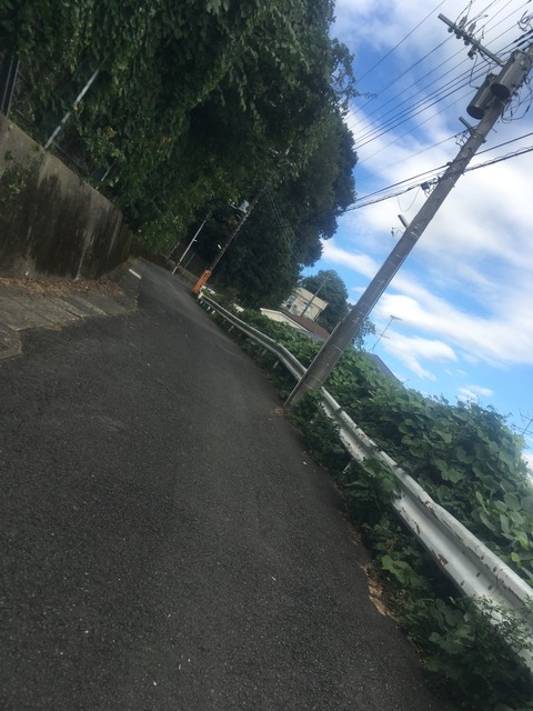 77B3B0E9-9640-4D20-A2B2-A984CA05CAD4