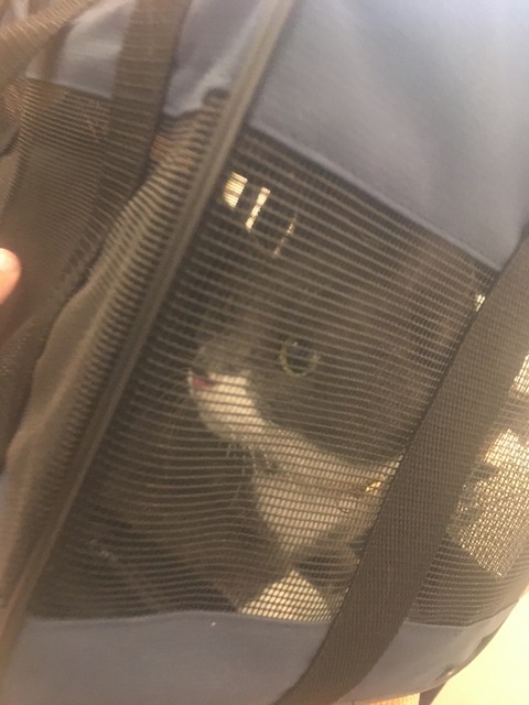 90636A44-A7C8-4438-89FD-10D1F7309FA3