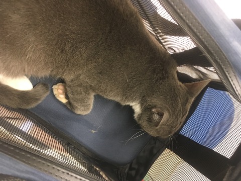 10166A5A-76AE-4D60-8D5C-347D341D22D2