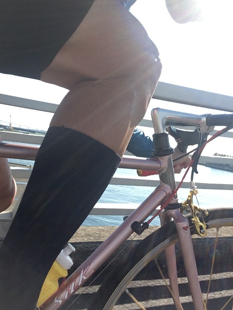 B7873D7C-E131-4267-BA3F-5B78BFD40FF1