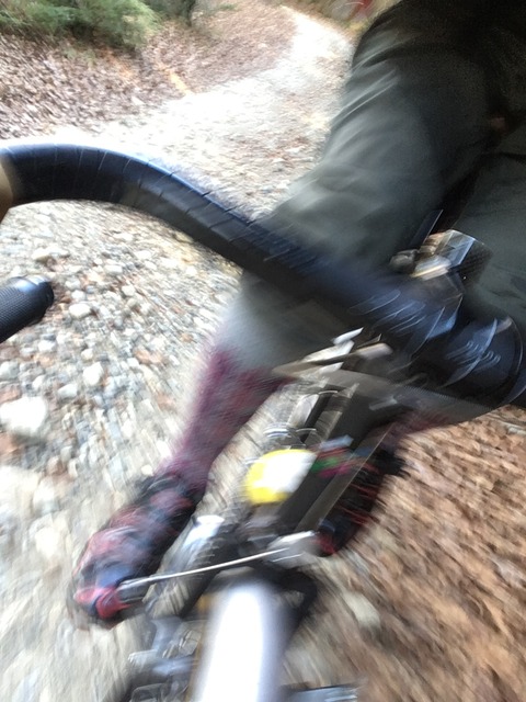 99761725-FC98-4A04-BCA8-E8A3DB5EEF0F