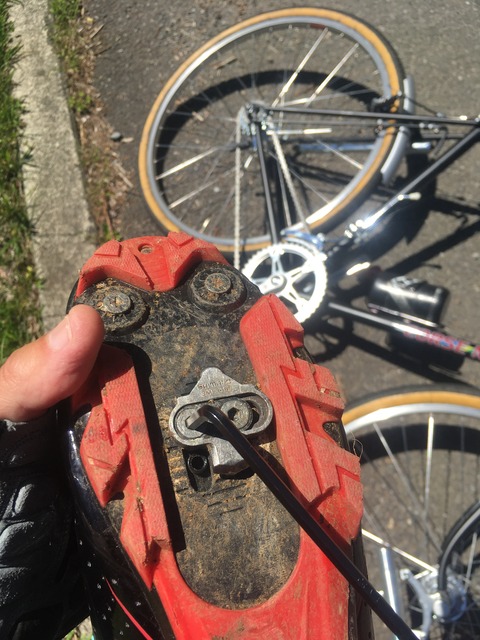 AAD32C3A-8D7F-437B-8980-5D3679541C60