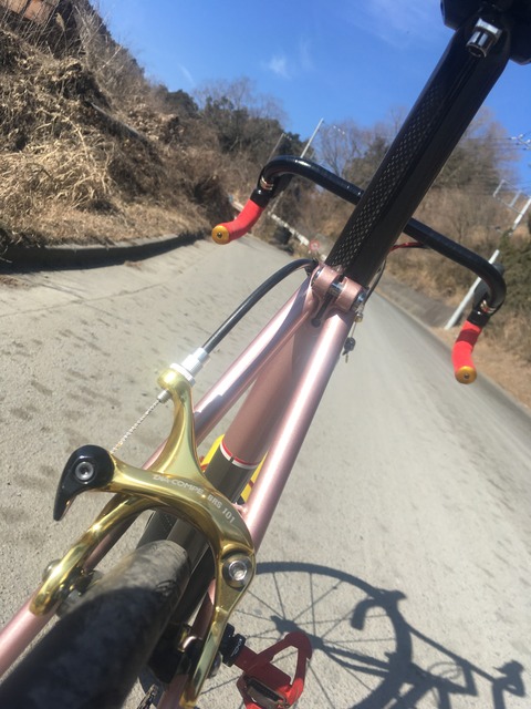 1782209A-14B0-41D5-9F19-50A5F6CB33C9