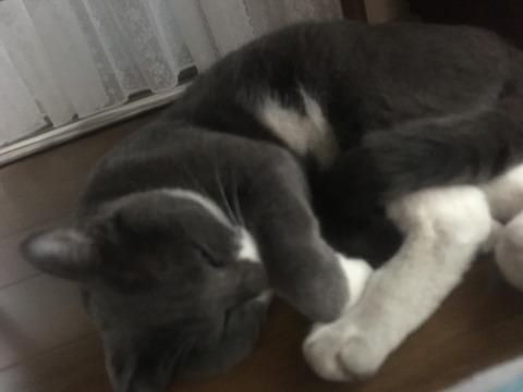 6CBF48C0-1255-4CC8-ACD0-D5CAA59B9F7F