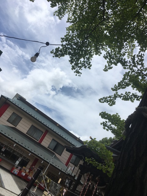 401A33A6-F3DD-4A24-AB2B-9A9A52A29622