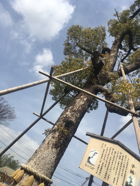 806FD490-685C-4820-8068-11F9E1BCBF61