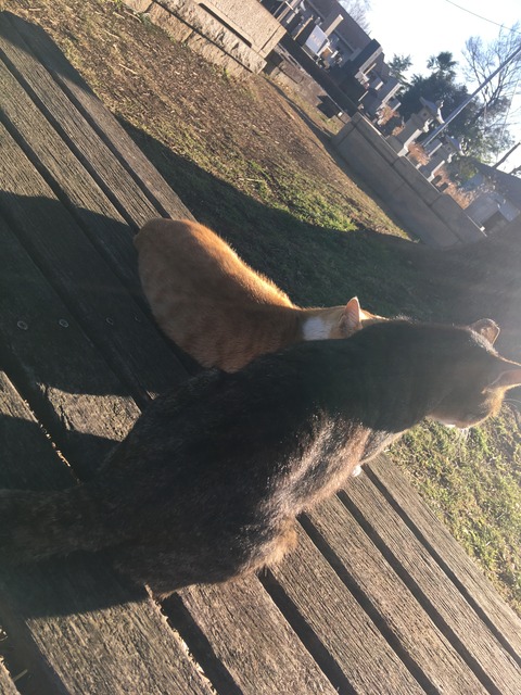 568855E5-FA02-4637-BC33-27EDA3C464BC