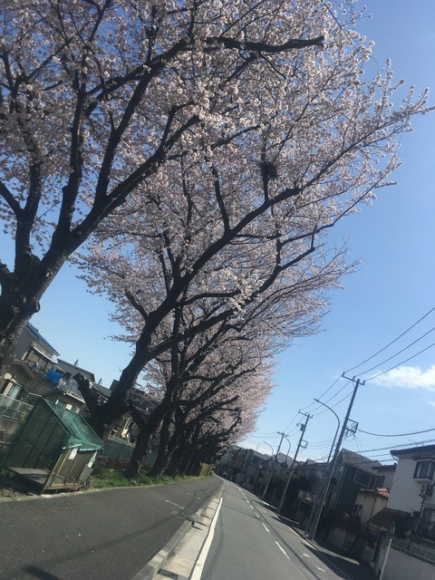 17EE5E98-F2F8-47B9-8ADC-9CC121311143