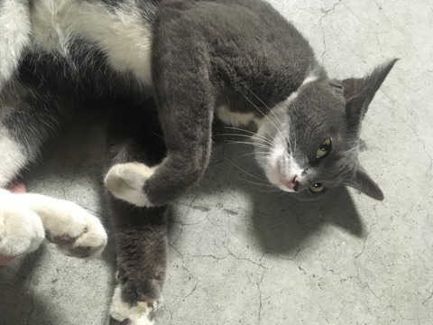 2B540F10-B3DC-46BC-9DBD-82EC16B819B2