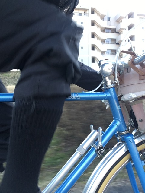 2A3F1490-8F5B-4842-9382-7A844C9EEC2A