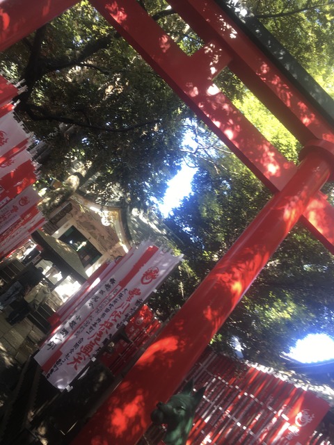 94527CE8-3BE9-4B1D-A3EE-D99D13A86988