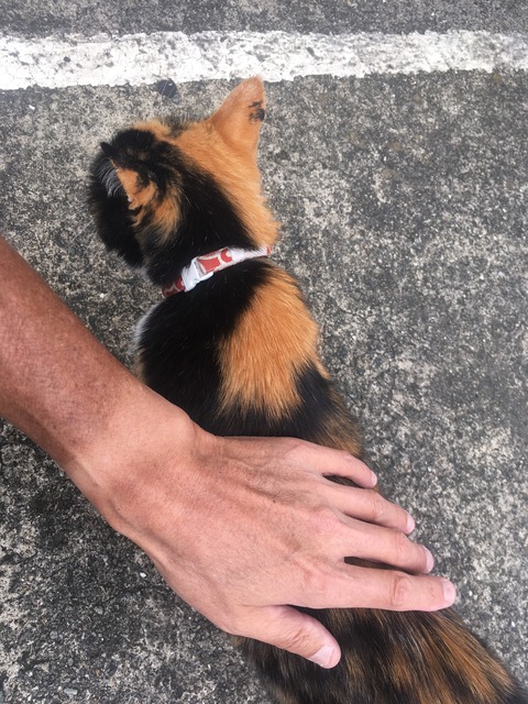 996B6EC9-AC56-4617-8868-DCA24FB3B5AF