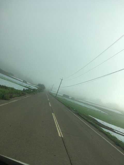 178C35BD-F265-4264-B216-4ACBC0294899