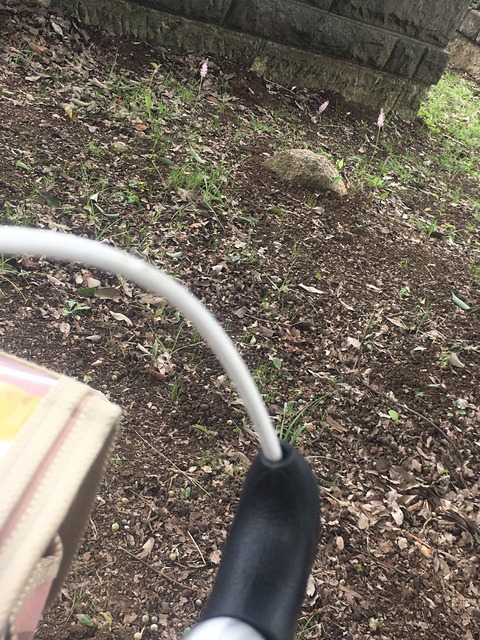 0CD057EF-8F41-4444-A816-6B68C756AB76