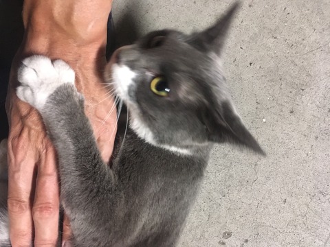 6540EE87-884D-4697-BFB8-00F0755AF3AB