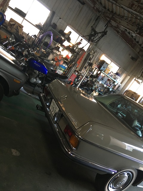 63A61E99-8890-41F9-AA11-11B595E38EEC