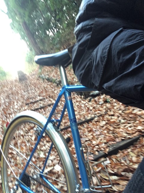 07D8BB64-31D2-4C13-86CB-3EC237A4E54F